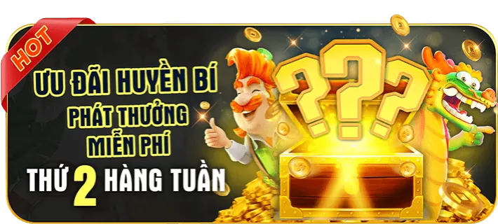 Giới thiệu nền tảng 33wim chính thức